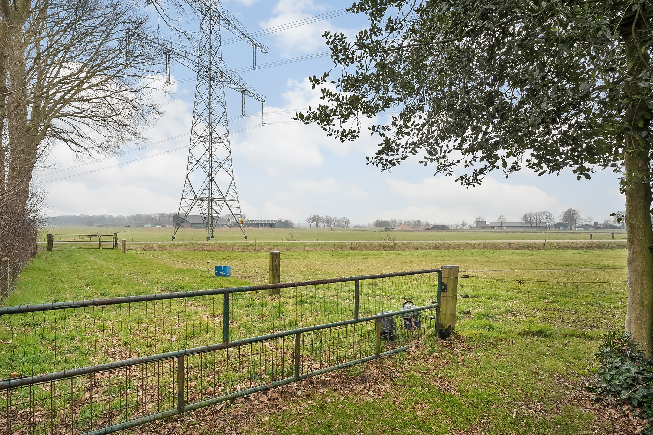 Foto 66 van Glinthaar 41