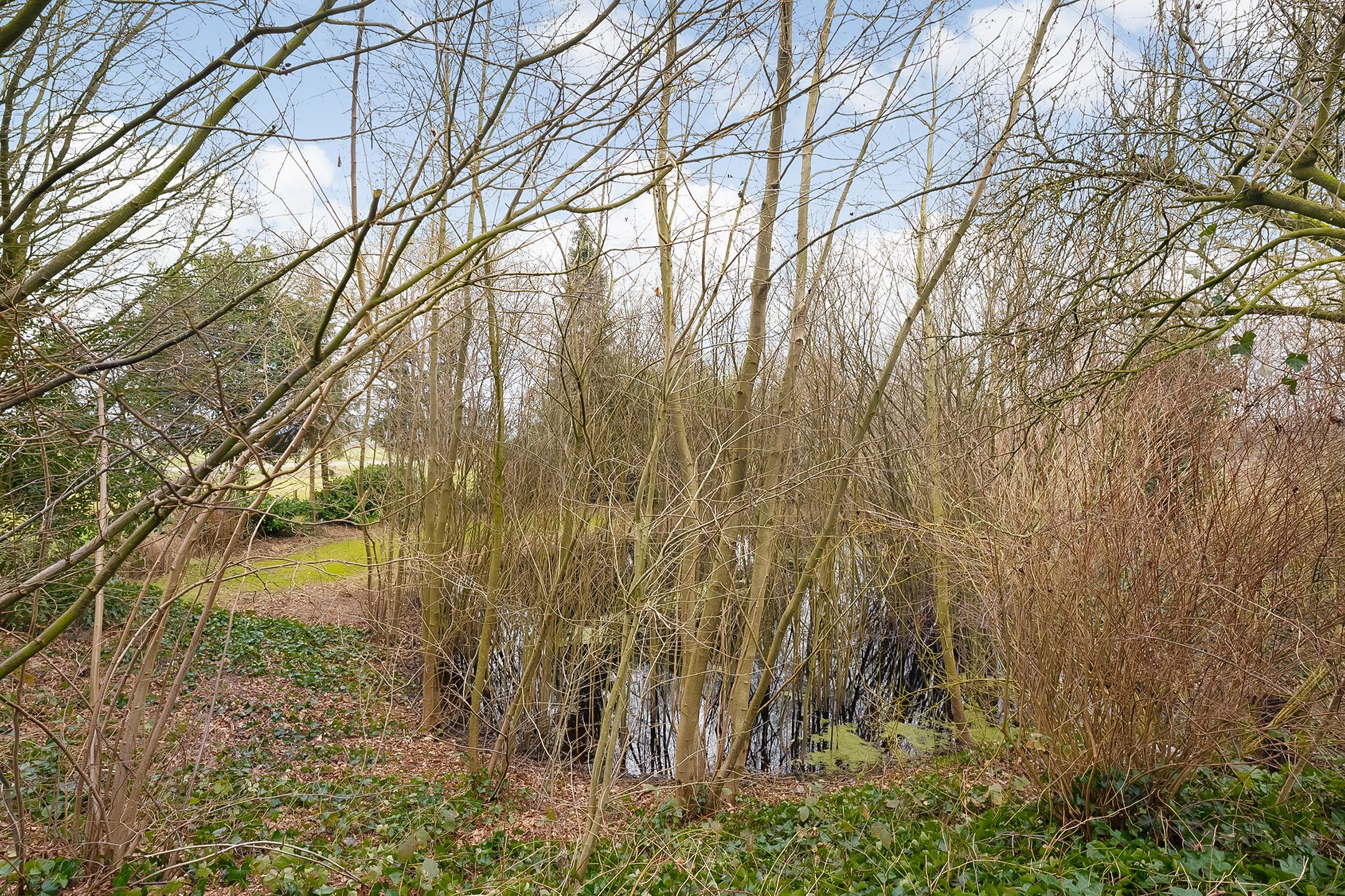 Foto 72 van Glinthaar 41