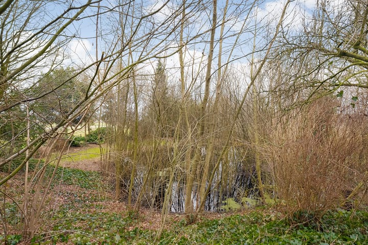 Foto 72 van Glinthaar 41