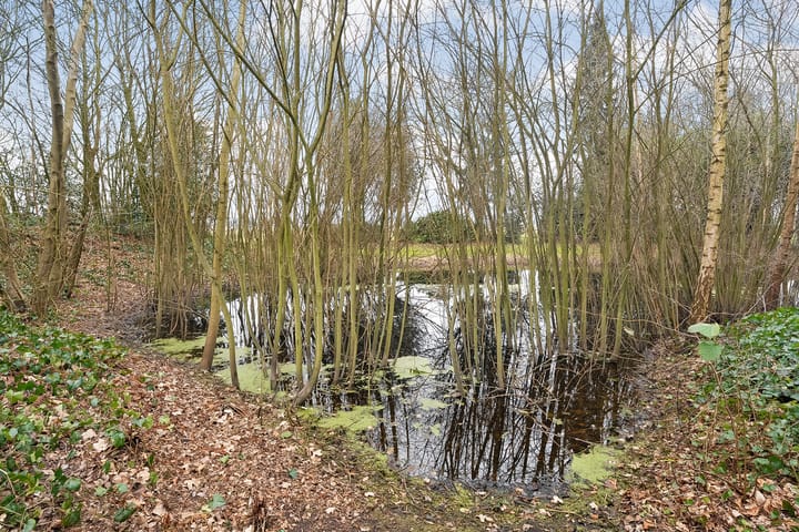 Foto 74 van Glinthaar 41