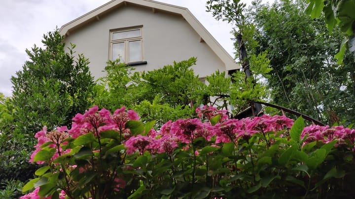 Foto 46 van Bakkersdijk 24