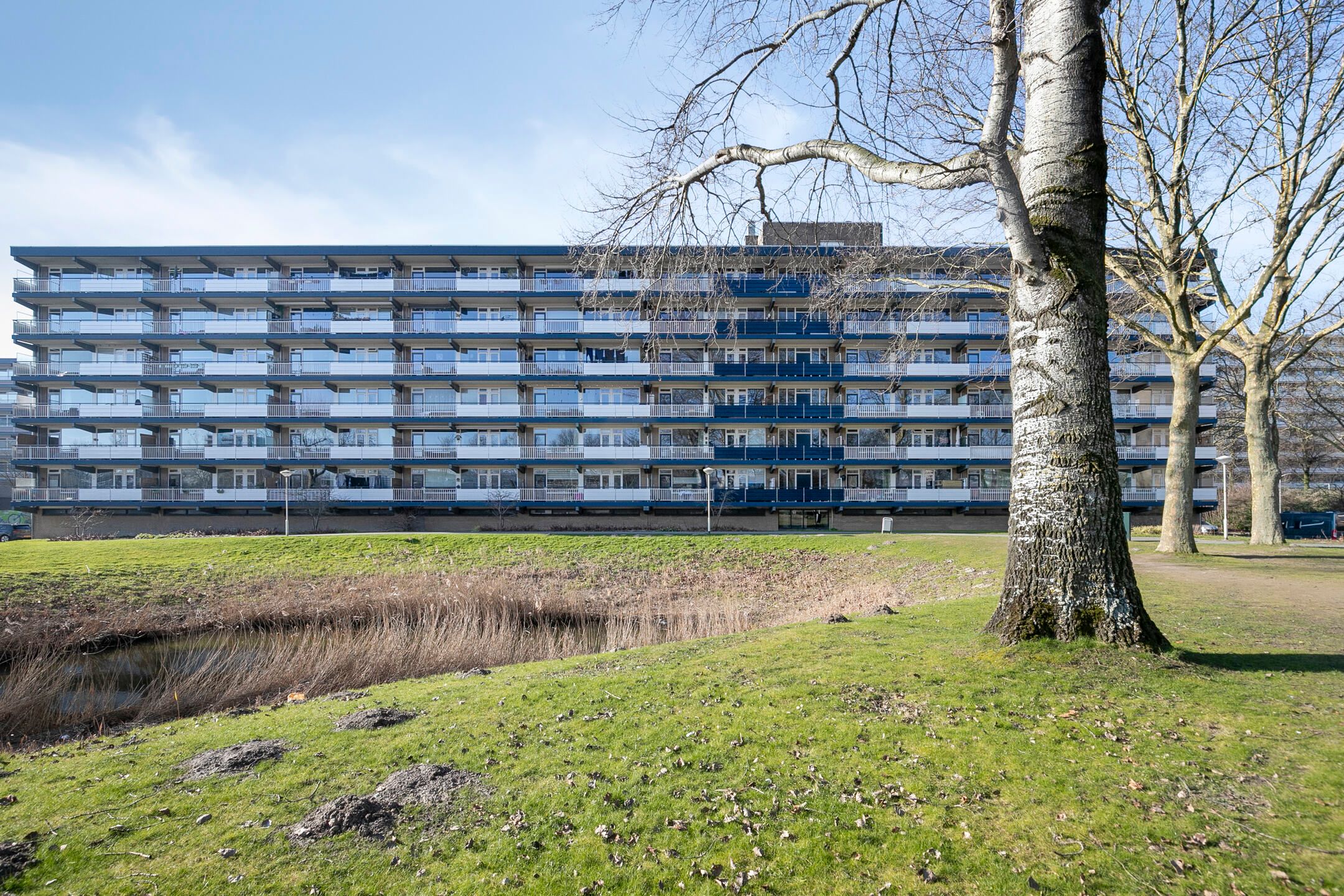 Photo 39 of Dunantstraat 698