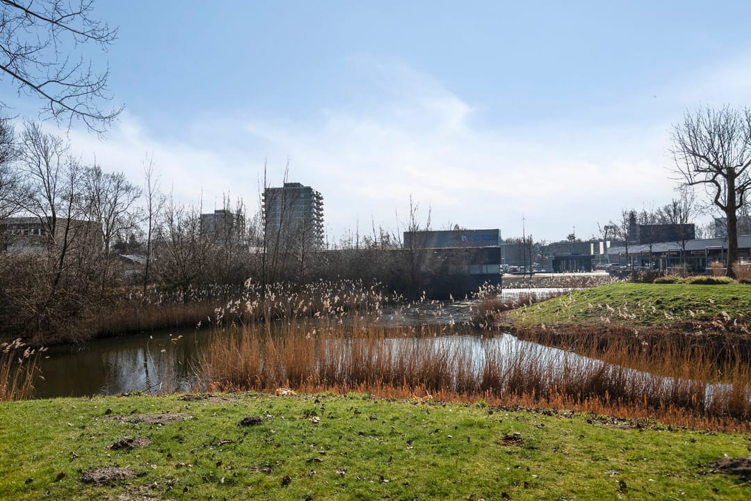 Photo 41 of Dunantstraat 698