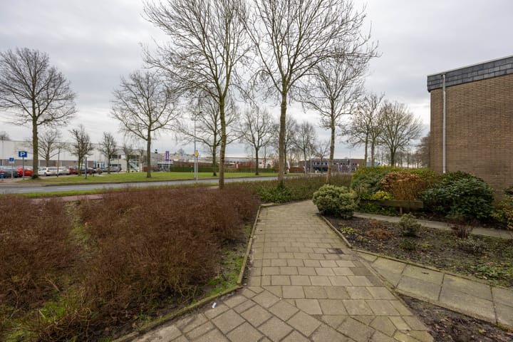 Foto 29 van Zuiderweg 219