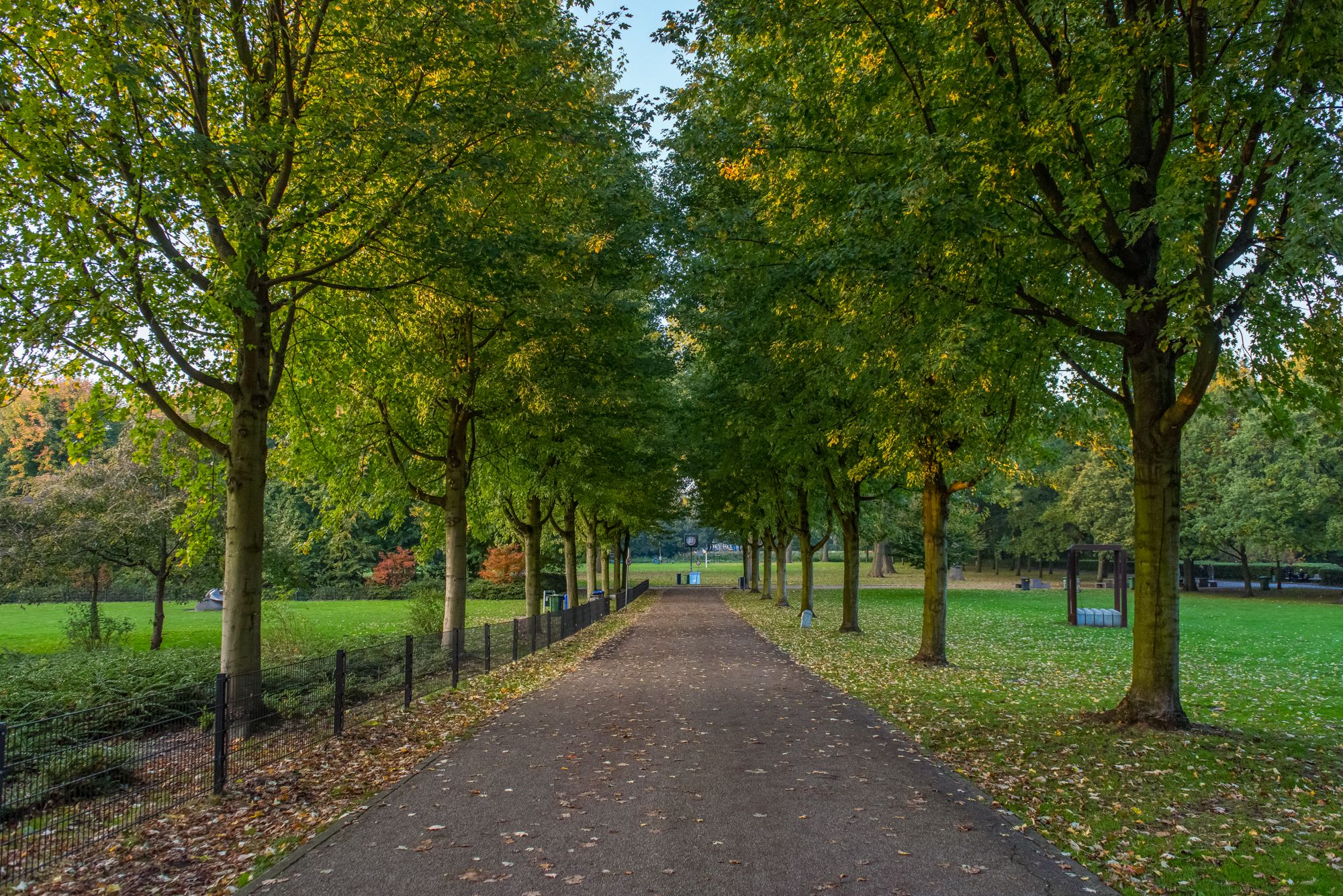 Foto 36 van Jan den Haenstraat 42-C