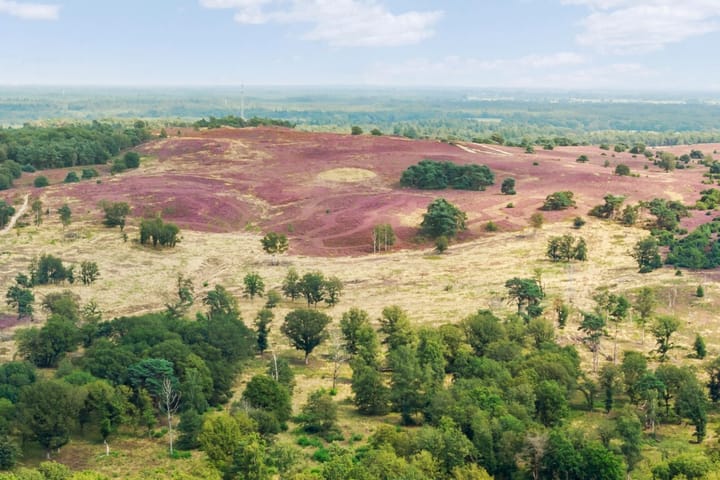 Foto 31 van Langsweg 18