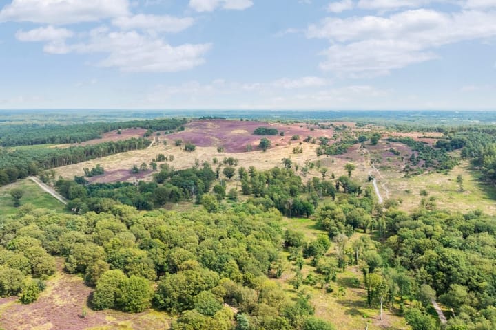 Foto 32 van Langsweg 18