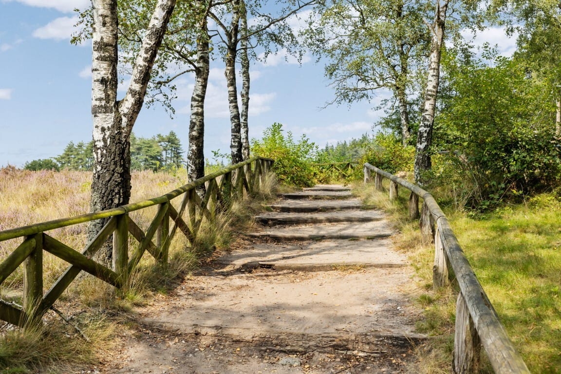 Foto 35 van Langsweg 18