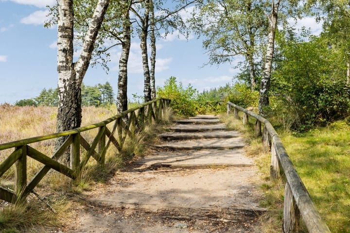 Foto 35 van Langsweg 18