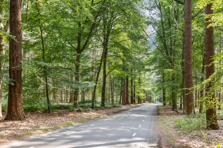 Foto 37 van Langsweg 18