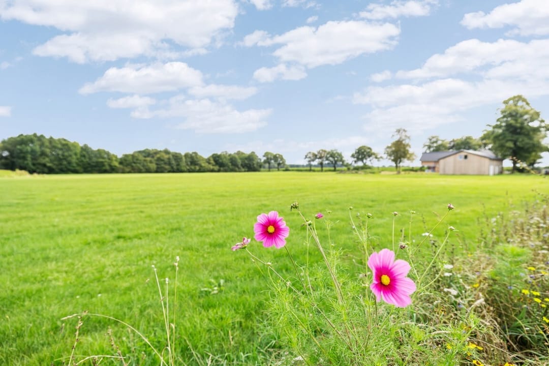 Foto 41 van Langsweg 18