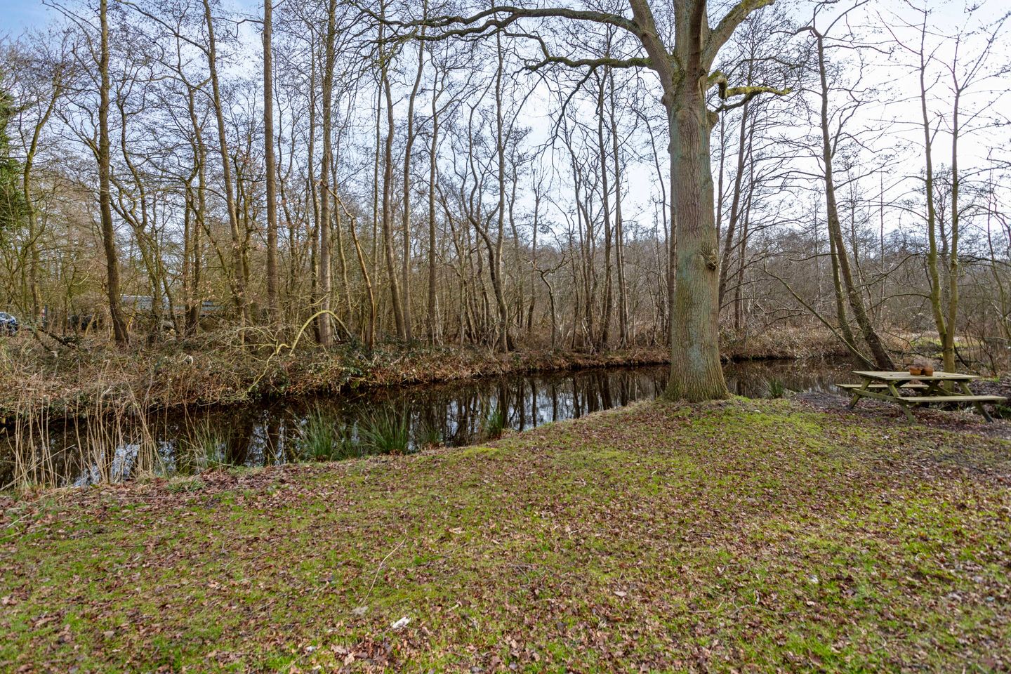 Photo 29 of Mr.J.C.Bührmannlaan 52