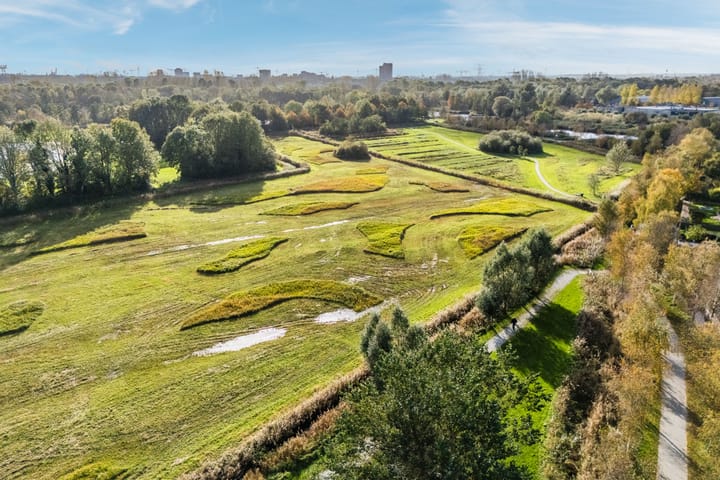 Foto 81 van Reitdiep 13