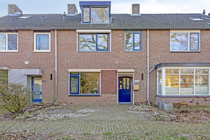 undefined main image
