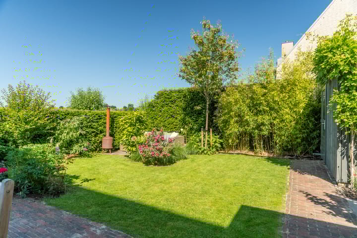 Foto 42 van Morgenerf 4