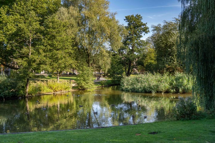 Foto 30 van Tweede Jan Steenstraat 106-2