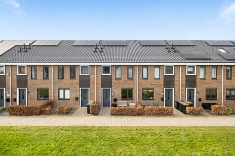 undefined main image