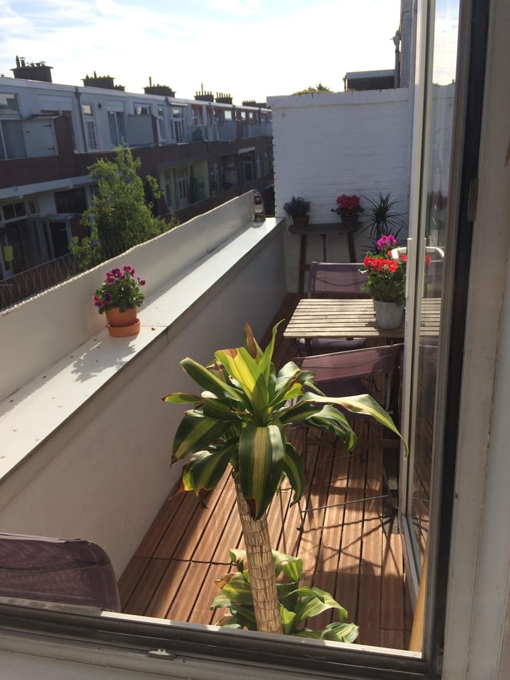 Photo 21 of Goudsbloemlaan 53