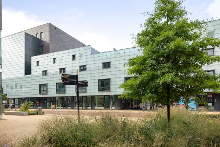 Foto 23 van Roggestraat 137