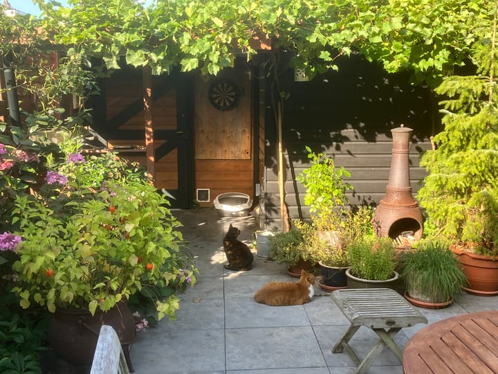 Foto 41 van het Fregat 17