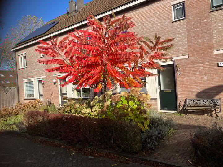 Foto 42 van het Fregat 17