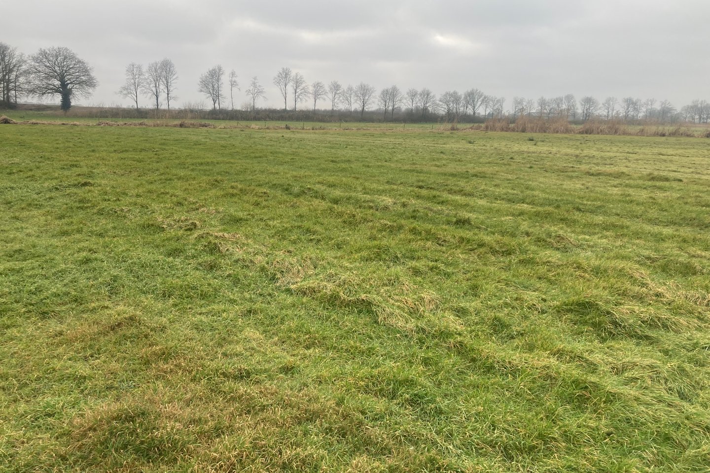 Bekijk foto 3 van Kasteelweg