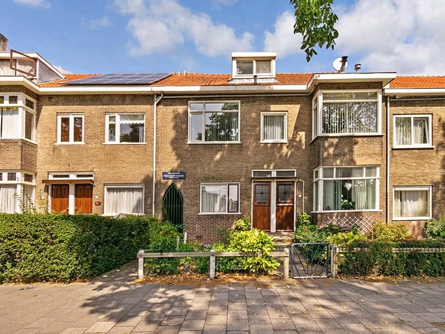 undefined main image