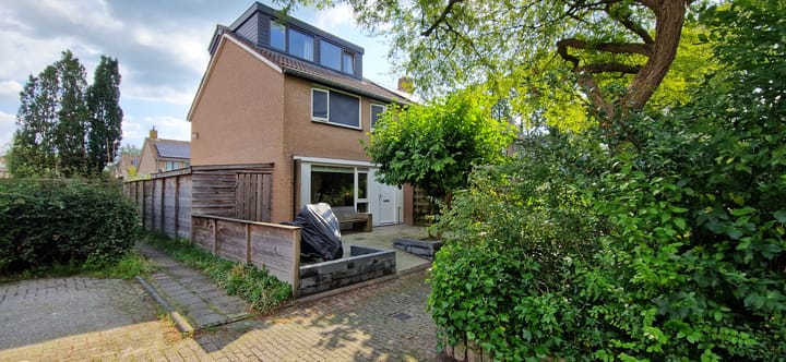 Foto 2 van Pijlkruidkreek 1