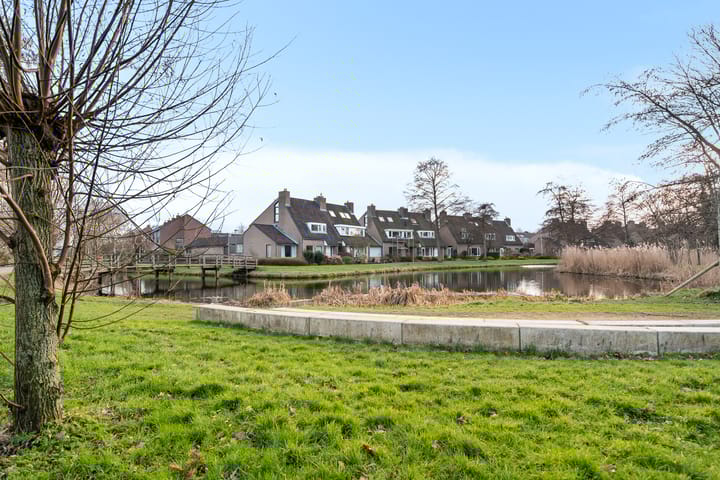 Foto 50 van Pijlkruidkreek 1