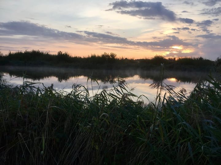 Photo 42 of Willem-Alexanderplantsoen 182