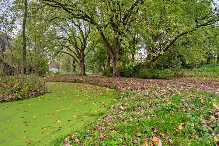 Foto 29 van Weigeliapark 12