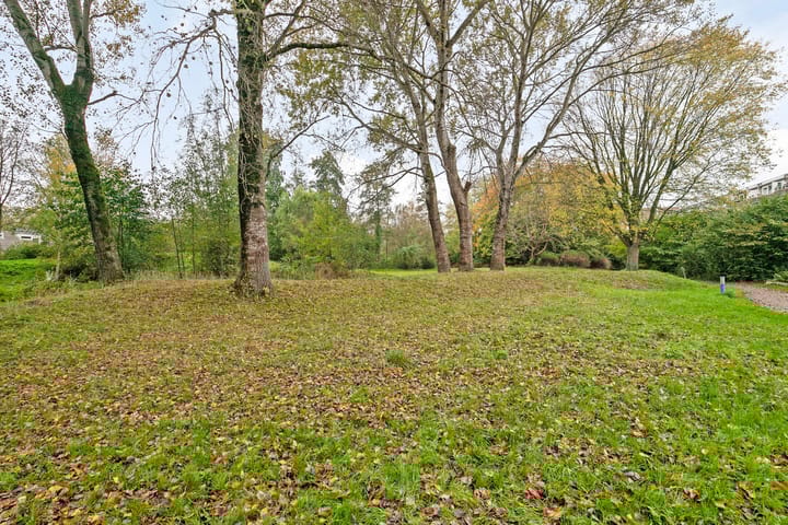 Foto 30 van Weigeliapark 12