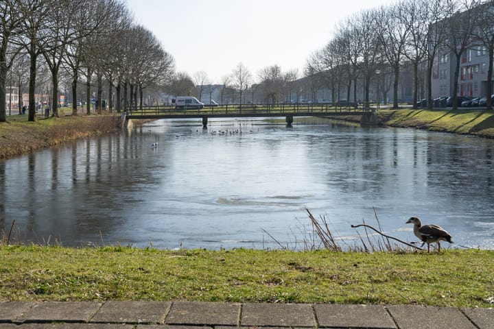 Foto 18 van Charlotte Brontéstraat 305