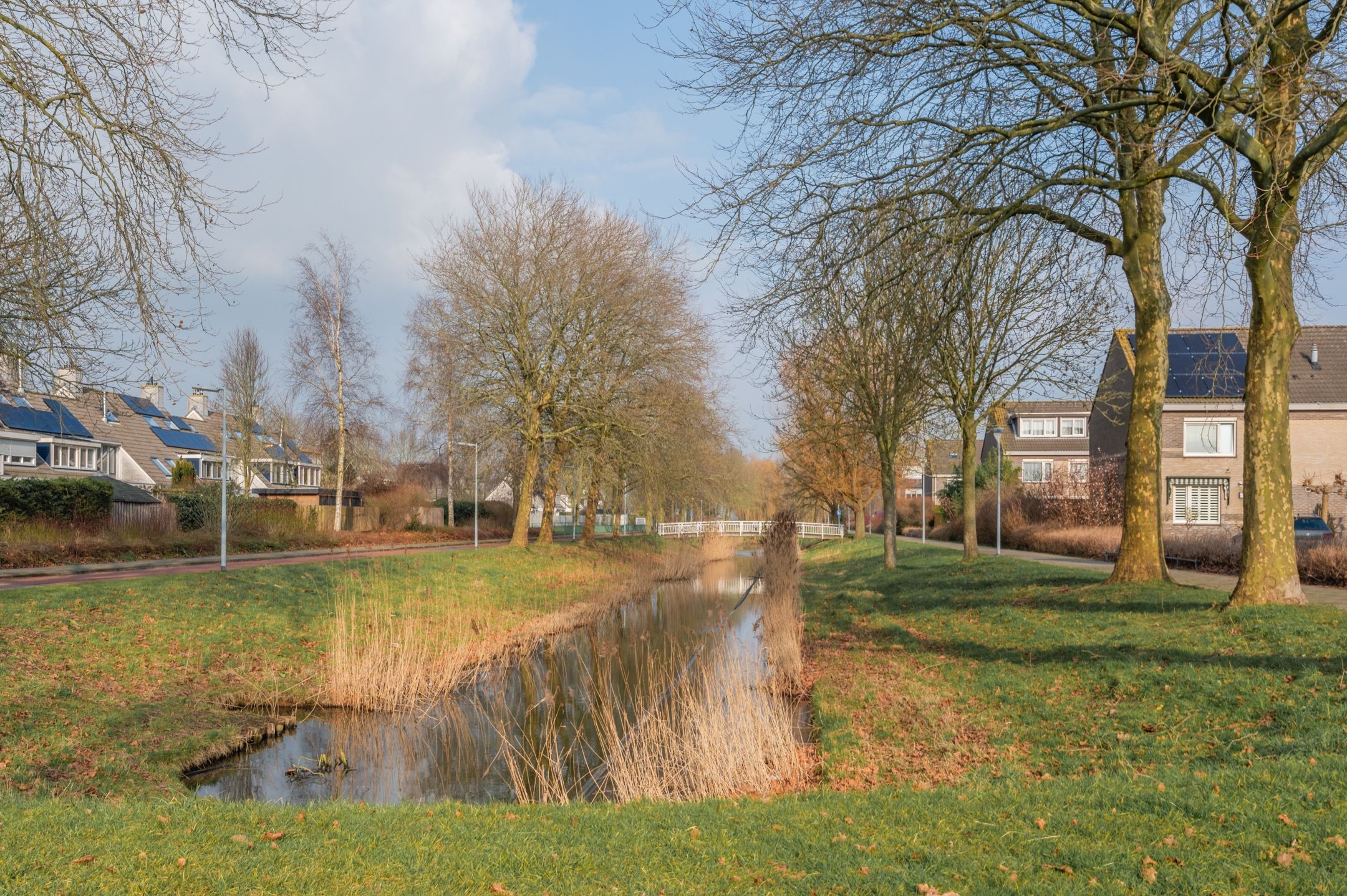 Photo 36 of Blankenstraat 58