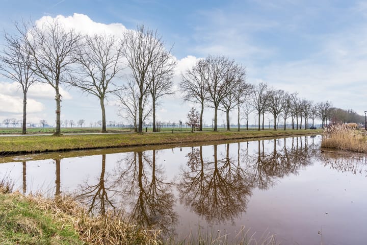 Foto 45 van Stekelbaars 80