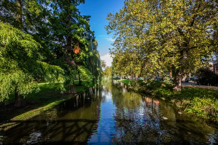 Foto 64 van Noordsingel 16-A