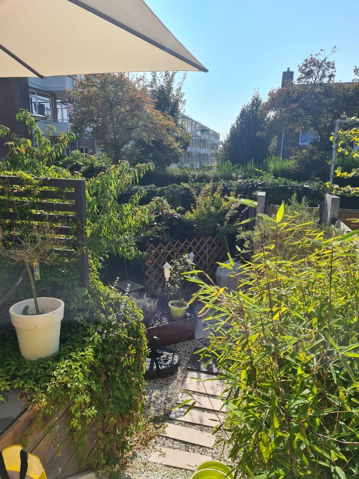 Foto 45 van Van Iddekingeweg 138-52