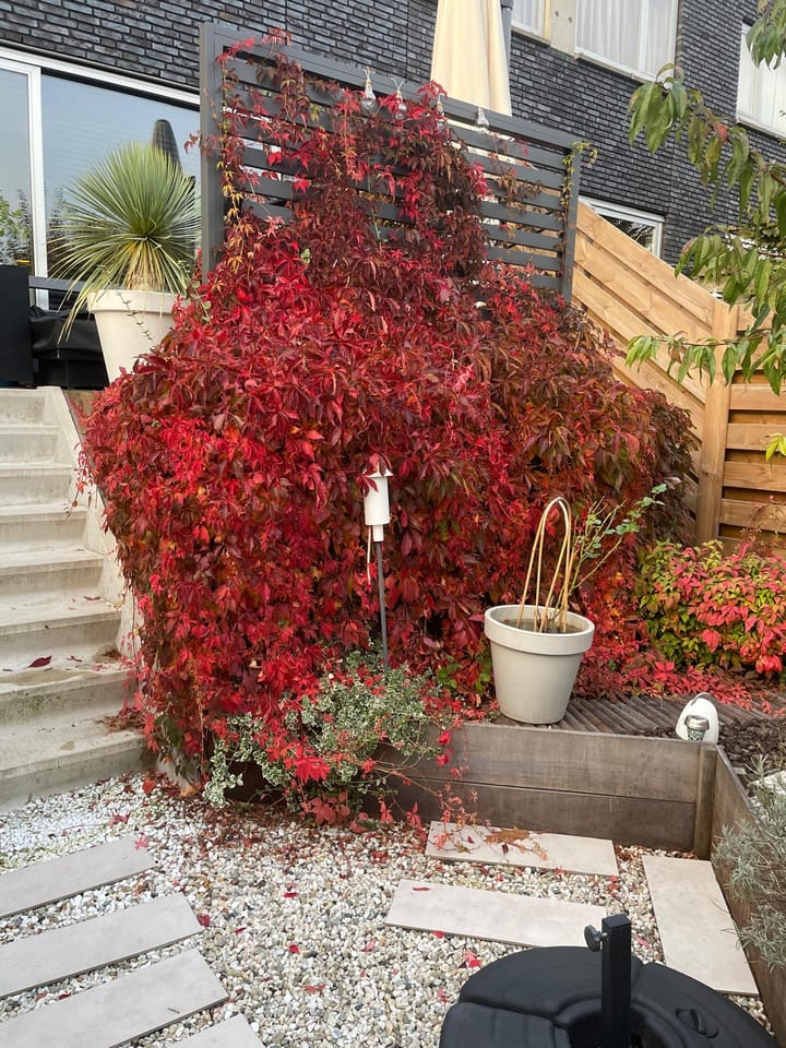 Foto 47 van Van Iddekingeweg 138-52