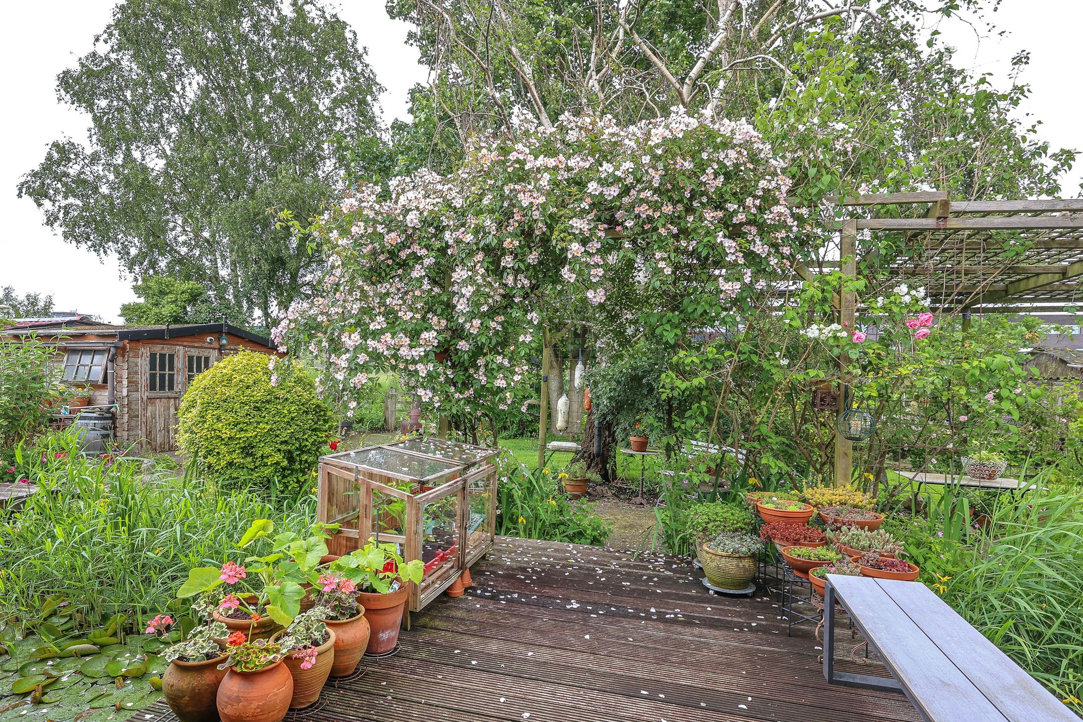 Foto 36 van Zwarte Pad 6