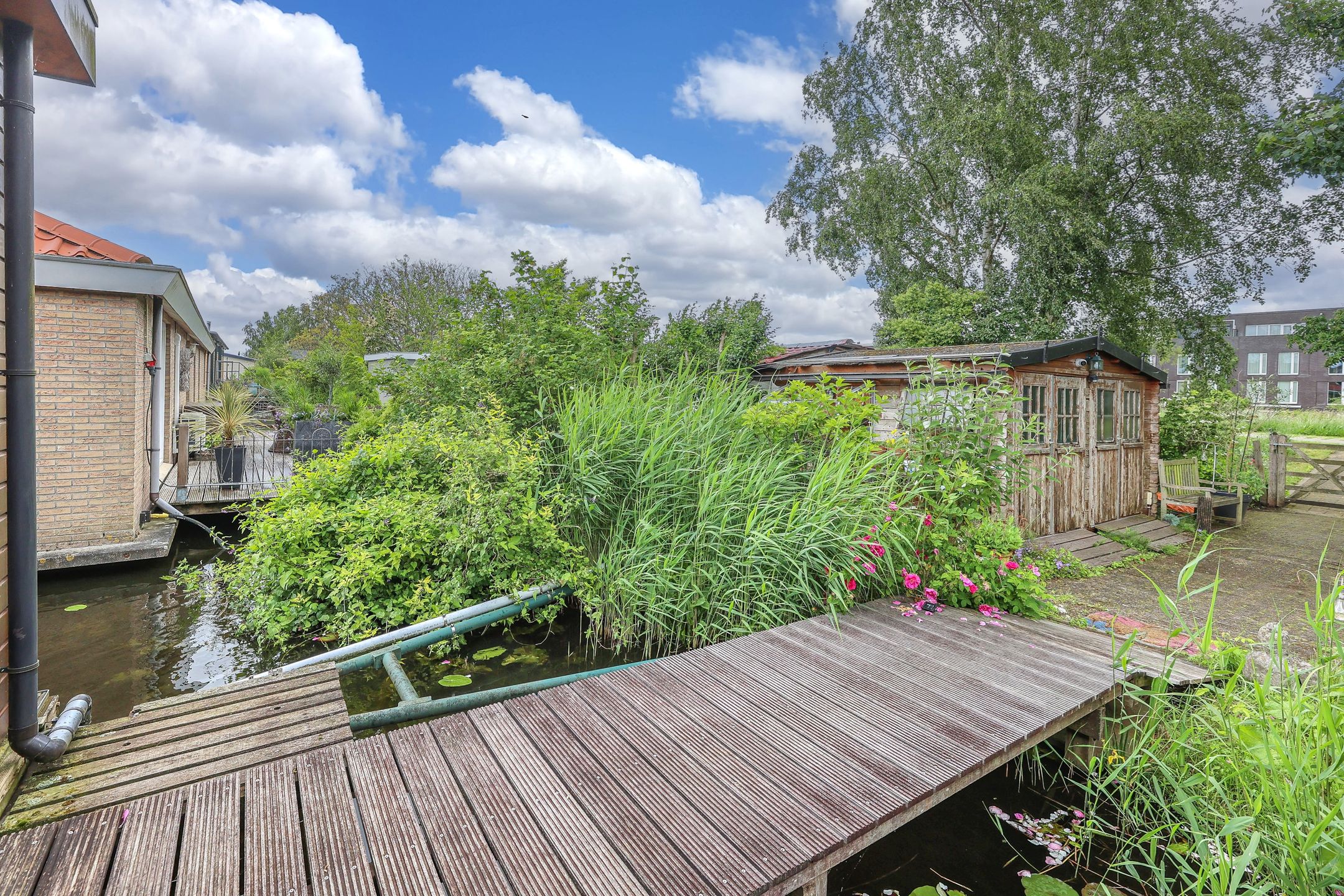 Foto 39 van Zwarte Pad 6