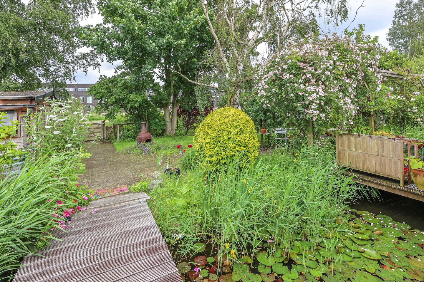 Foto 40 van Zwarte Pad 6