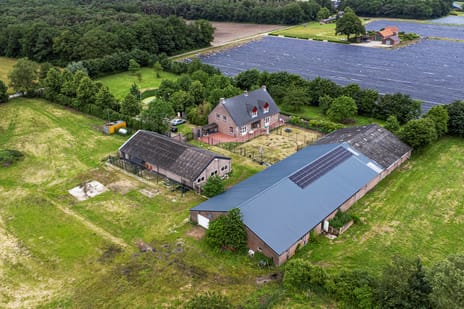 undefined main image