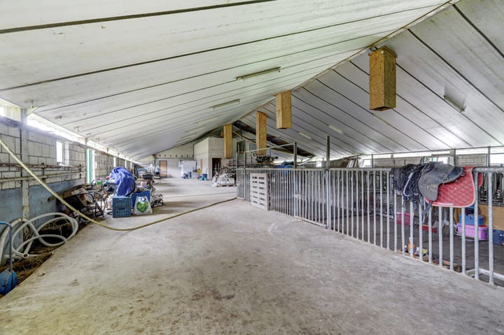 Foto 51 van Zandstraat 3