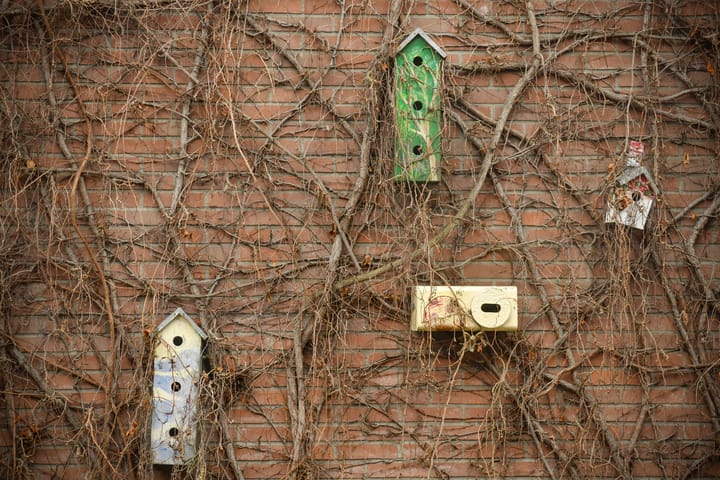 Foto 16 van Eerste Goudsbloemdwarsstraat 14-A1