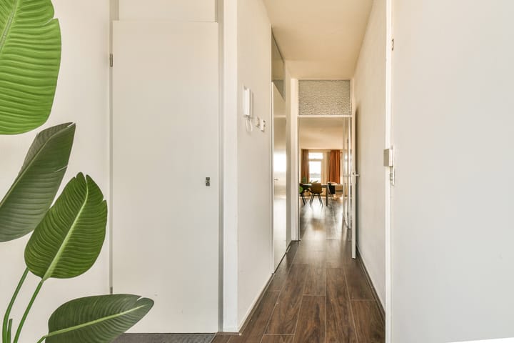 Foto 12 van Frederikstraat 393