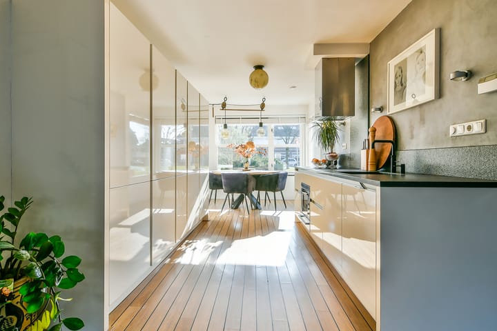 Foto 3 van Paganiniplantsoen 44