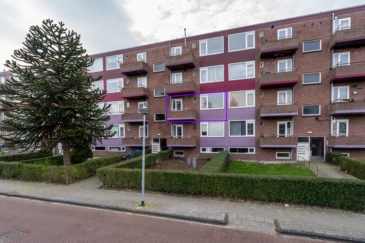 Bekijk foto van van Ruusbroeclaan 36