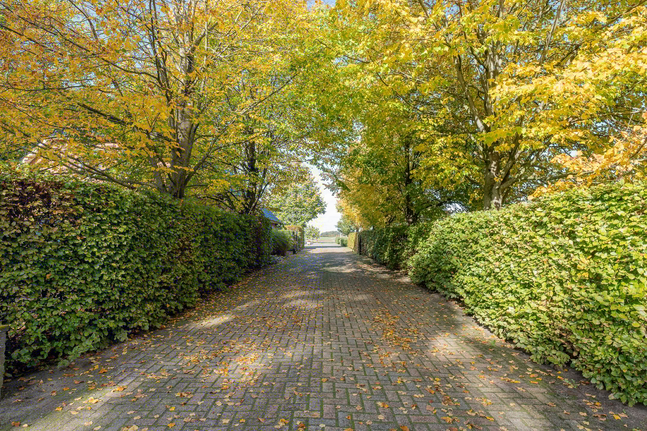 Foto 9 van Jipsingboertangerweg 146