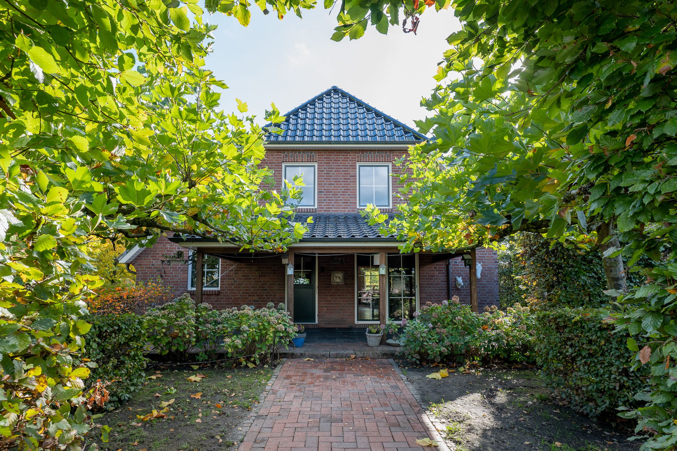 Foto 51 van Jipsingboertangerweg 146