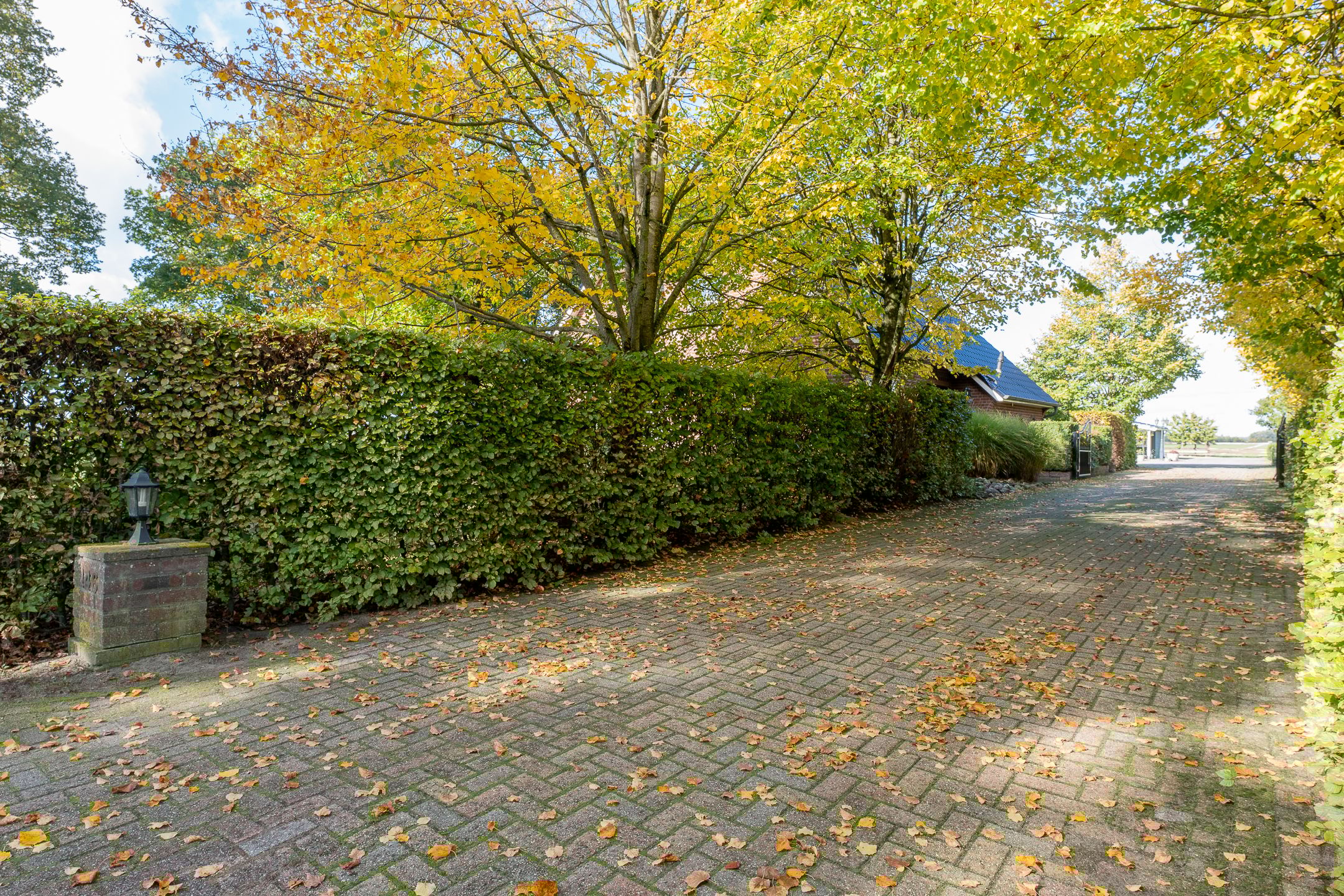 Foto 75 van Jipsingboertangerweg 146